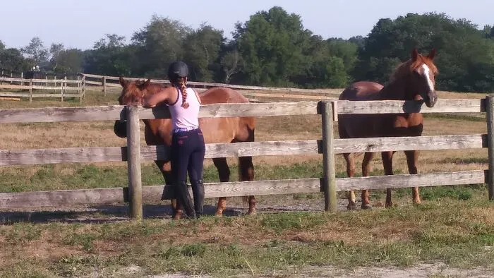 Peace On The Farm
