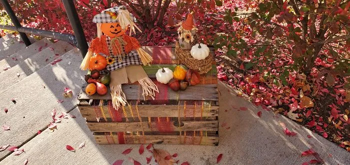 Welcome To Fall