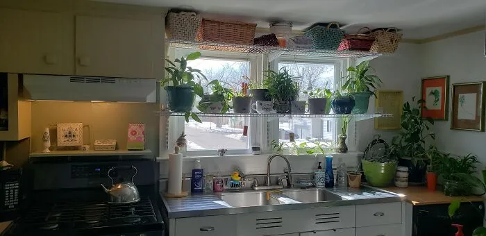 I'm Proud Of All Of My Plants!