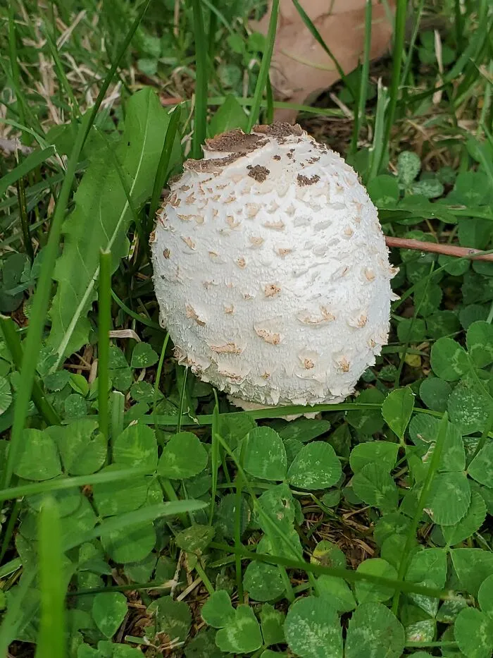 Random Picture From Daily Walk