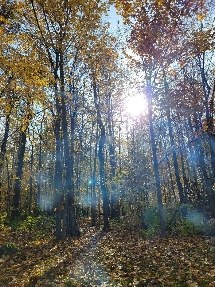 I Liked The Light Here