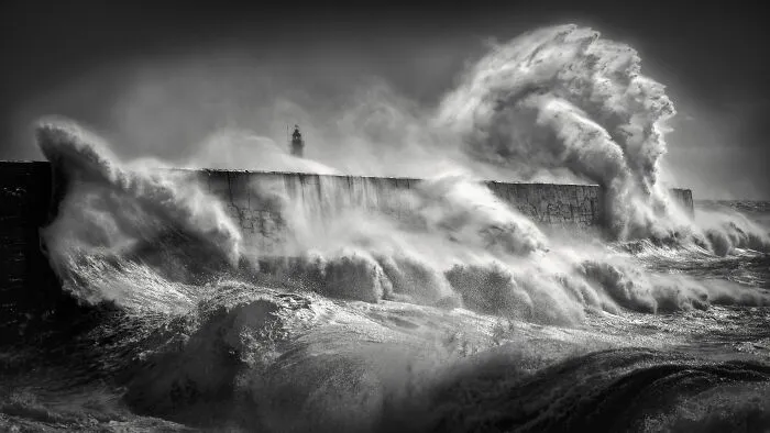 Black And White Runner Up:  Lloyd Lane, 'Rough And Tumble'