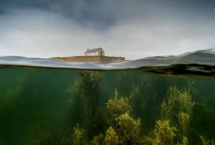 Coast Winner: Gray Eaton, 'The Sacred Garden'