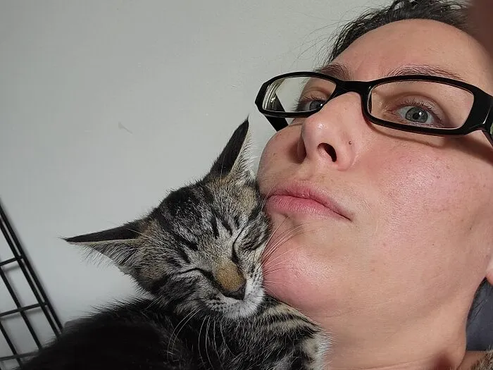 This Cat Has No Boundaries