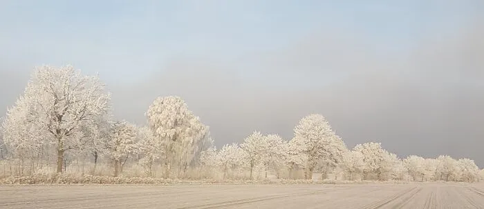 Icy Landscape (View During A Train Ride)