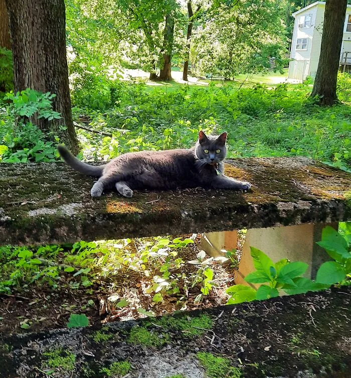 Relaxing In The Park