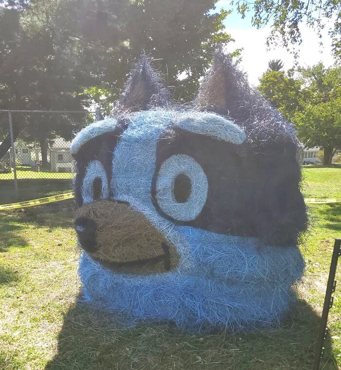 Bluey