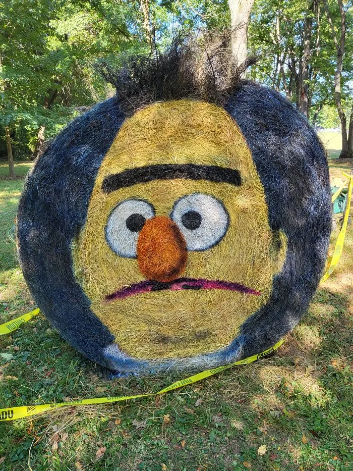 Bert