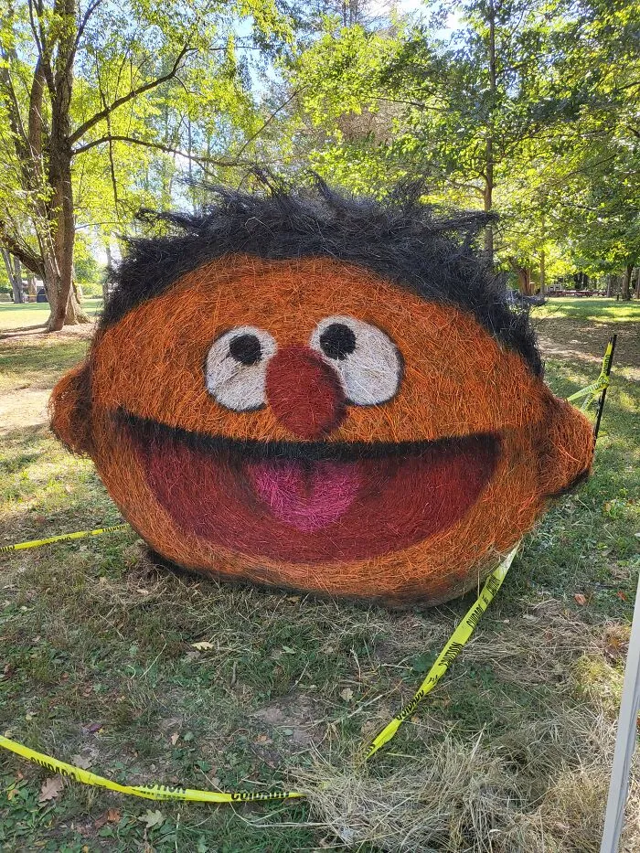 Ernie