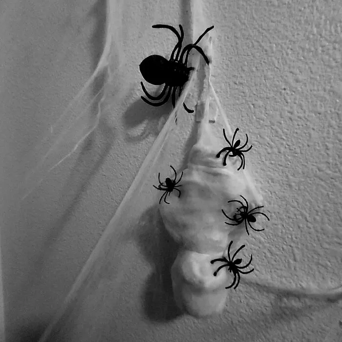 Spider Web Baby