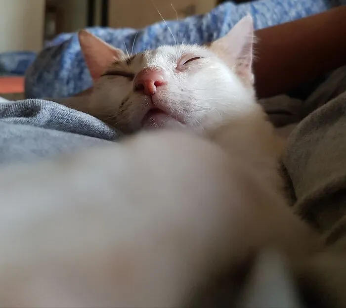 After A Long Day Of Doing Nothing