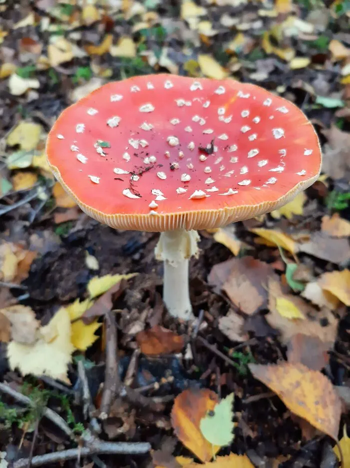 Surrey, UK