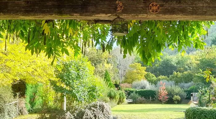 Slowly Starting To Turn Autumny