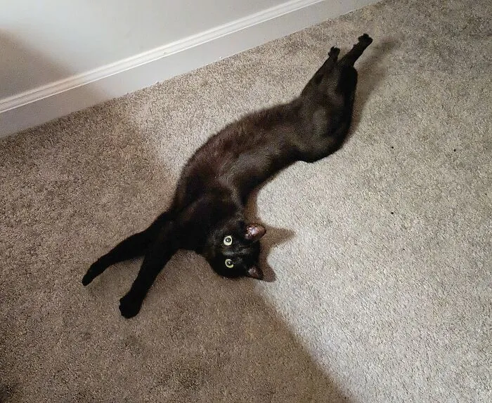 She Does This For Attention