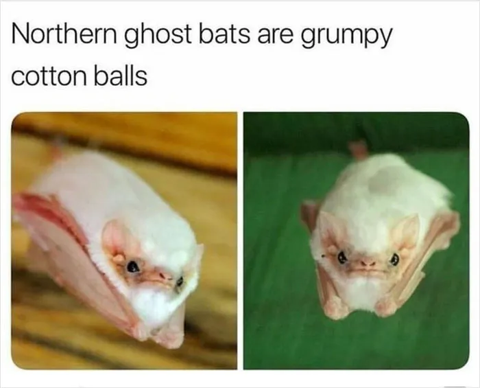 People Are Creating Memes About Nature And All Things Environment, Here Are 35 Of The Best Ones Shared On This Facebook Page