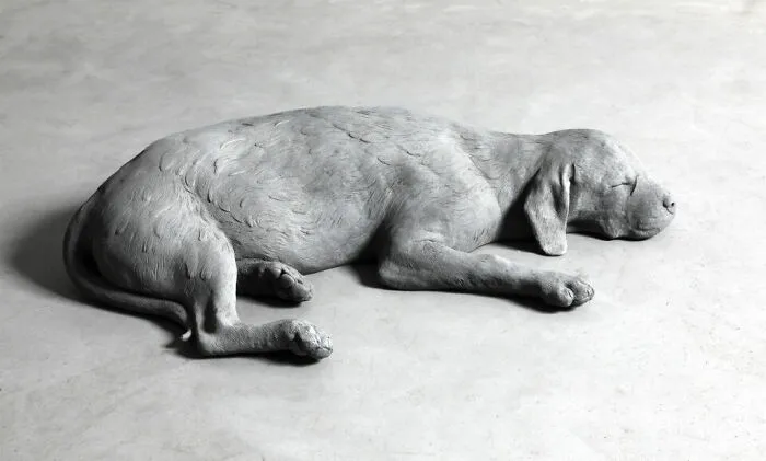 Artista: Hans Op De Beeck