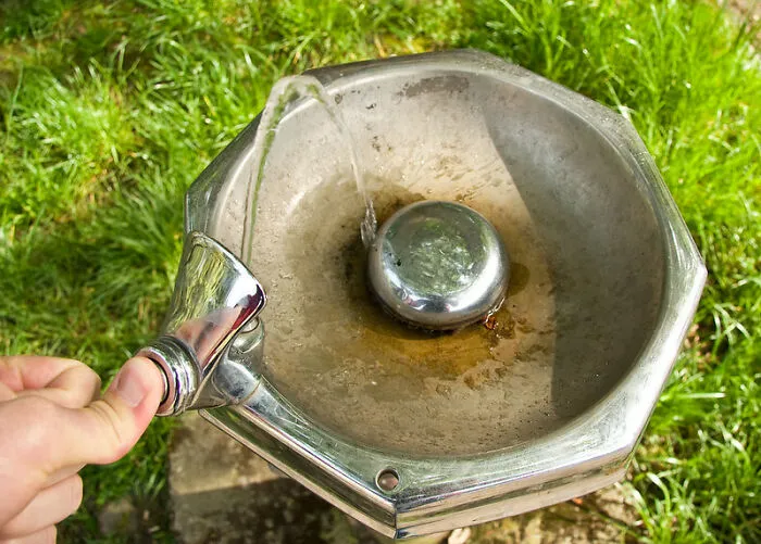 Water