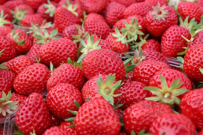 Out Of Season Fruits