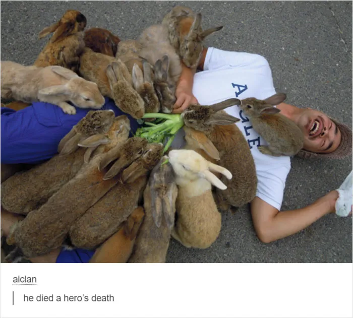 People Are Creating Memes About Nature And All Things Environment, Here Are 35 Of The Best Ones Shared On This Facebook Page