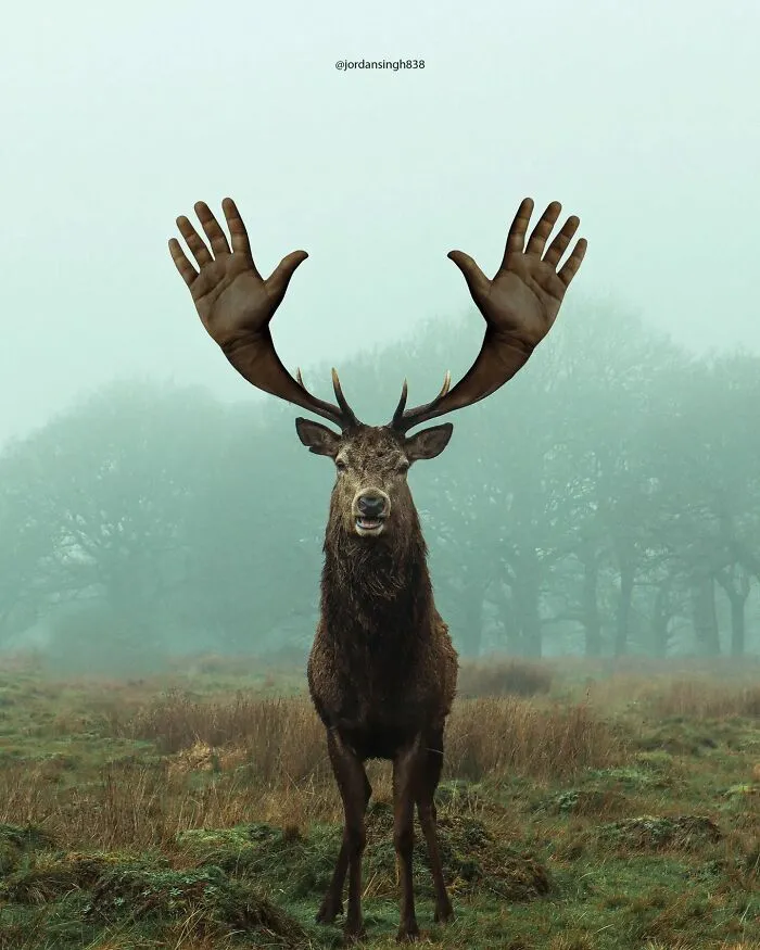 Artist Uses His Photoshop Skills To Create 48 Fantasy Edits And Surreal Worlds