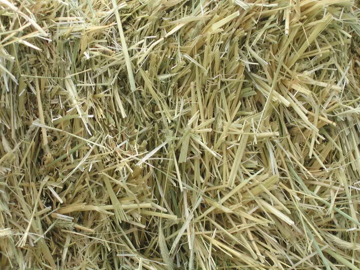 The Smell Of Timothy Hay