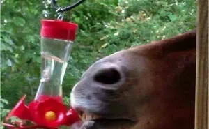 People Are Creating Memes About Nature And All Things Environment, Here Are 35 Of The Best Ones Shared On This Facebook Page