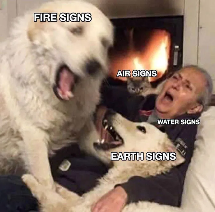 179 Zodiac Memes To Help You Get Through Mercury Retrograde