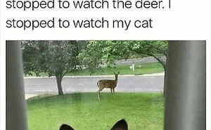 People Are Creating Memes About Nature And All Things Environment, Here Are 35 Of The Best Ones Shared On This Facebook Page