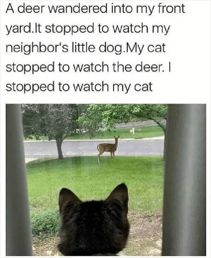 Give-A-Shift-Nature