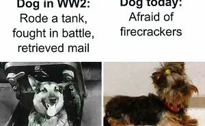40 Cringy Posts Of People "Blinded By Their Own Nostalgia", As Shared On This Online Community