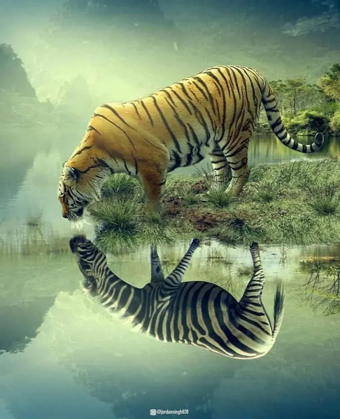 Artist Uses His Photoshop Skills To Create 48 Fantasy Edits And Surreal Worlds