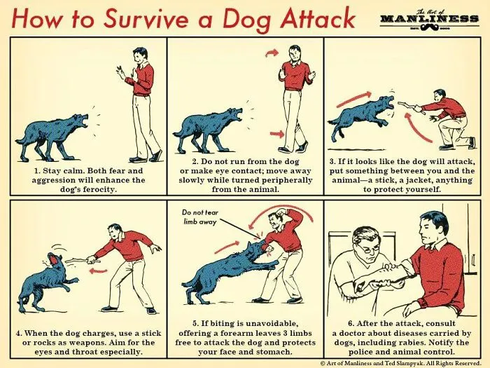 23 Survival Tips And Tricks You Might Not Have Known, As Shared By This Twitter Page