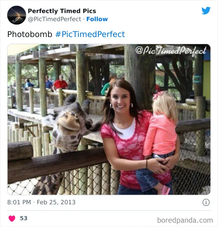 50 "Perfectly Timed Pics" That Might Make You Look Twice