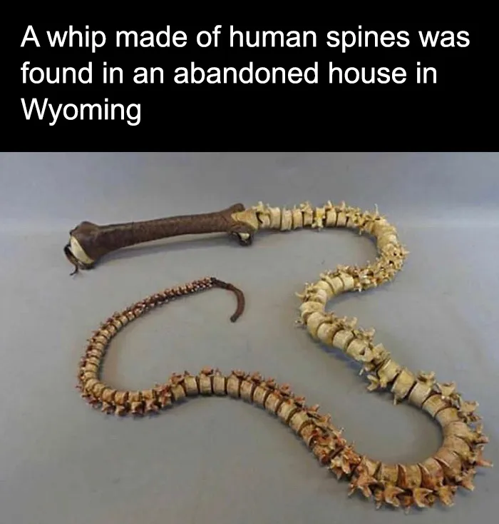 Spine-Chilling Discovery