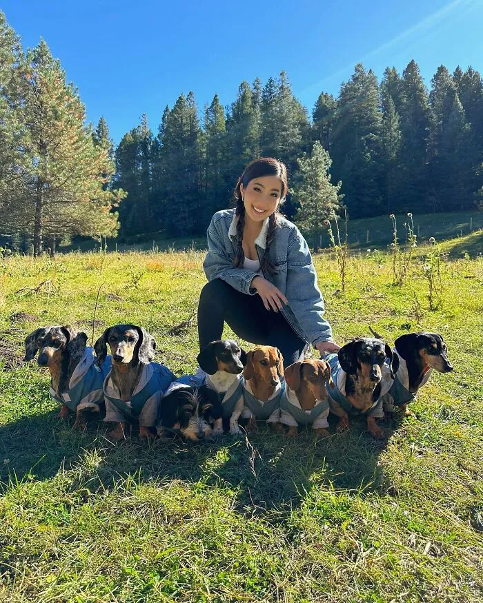 Woman Shares Her Life With 8 Rescue Dachshunds, And Here Are 25 Of The Funniest Pictures Of Them