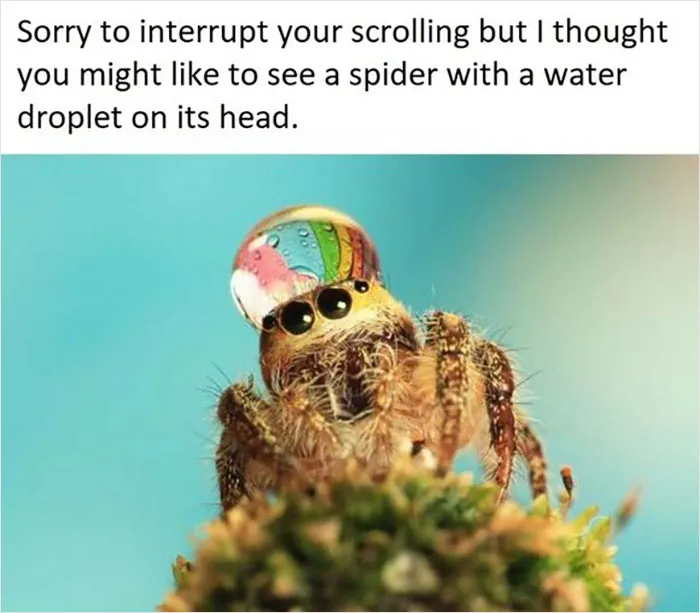 People Are Creating Memes About Nature And All Things Environment, Here Are 35 Of The Best Ones Shared On This Facebook Page