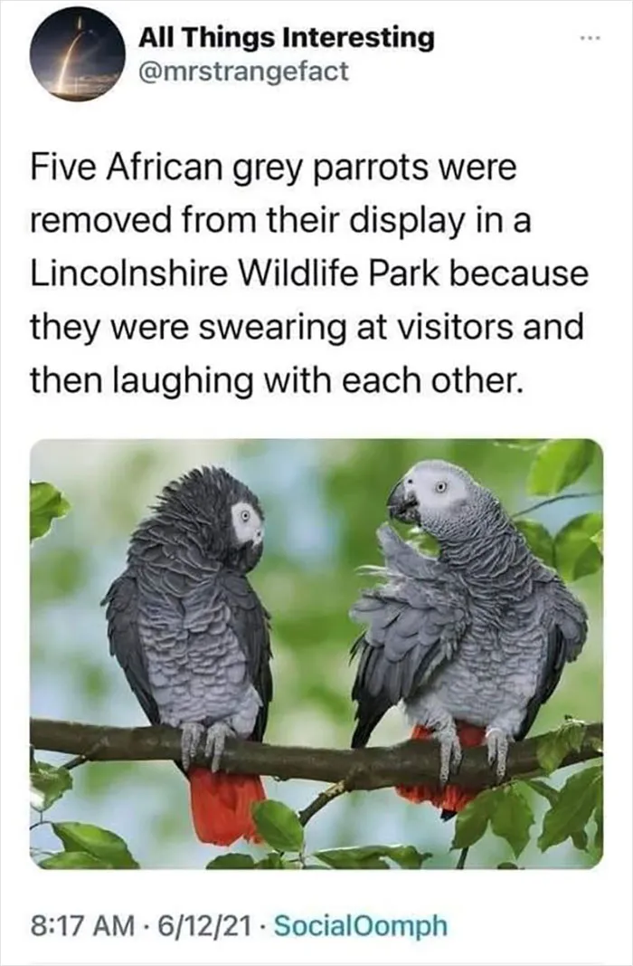 People Are Creating Memes About Nature And All Things Environment, Here Are 35 Of The Best Ones Shared On This Facebook Page