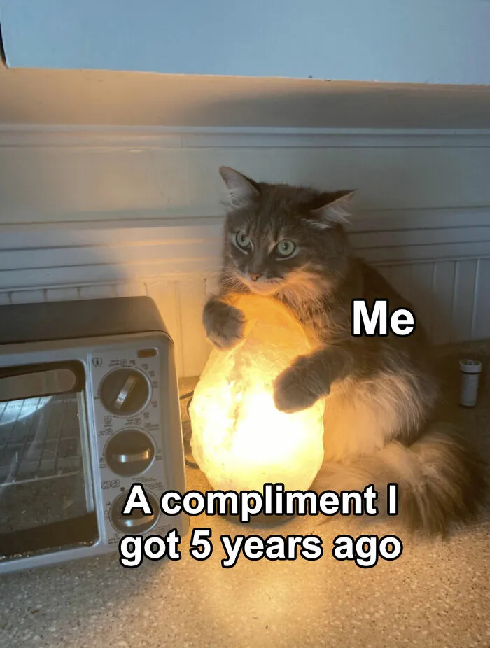 This Instagram Page Is Dedicated To Memes That Should Probably Be Discussed With A Therapist (50 Pics)