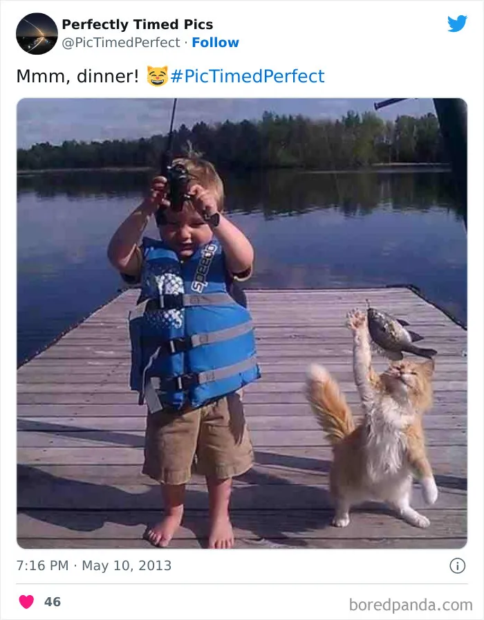 50 "Perfectly Timed Pics" That Might Make You Look Twice
