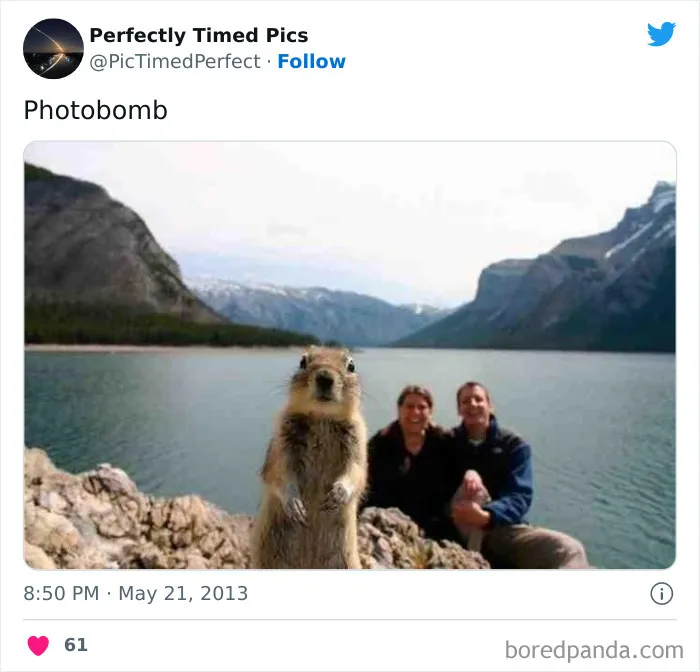 50 "Perfectly Timed Pics" That Might Make You Look Twice