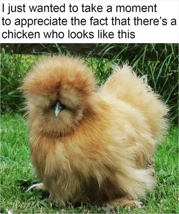 People Are Creating Memes About Nature And All Things Environment, Here Are 35 Of The Best Ones Shared On This Facebook Page