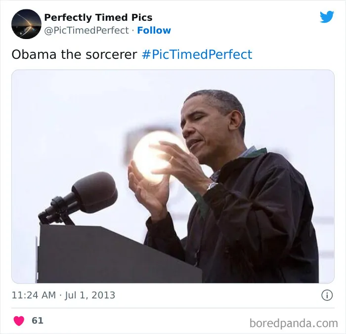 50 "Perfectly Timed Pics" That Might Make You Look Twice