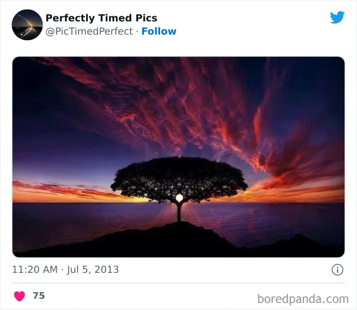 30 Fotos tomadas "en el momento justo” que hay que mirar 2 veces
