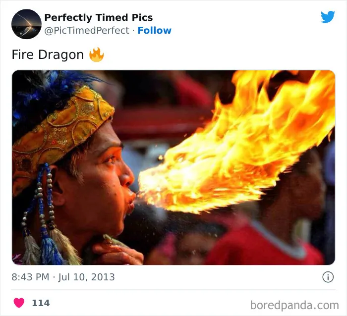 50 "Perfectly Timed Pics" That Might Make You Look Twice