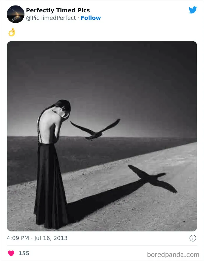 30 Fotos tomadas "en el momento justo” que hay que mirar 2 veces