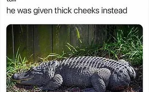 People Are Creating Memes About Nature And All Things Environment, Here Are 35 Of The Best Ones Shared On This Facebook Page