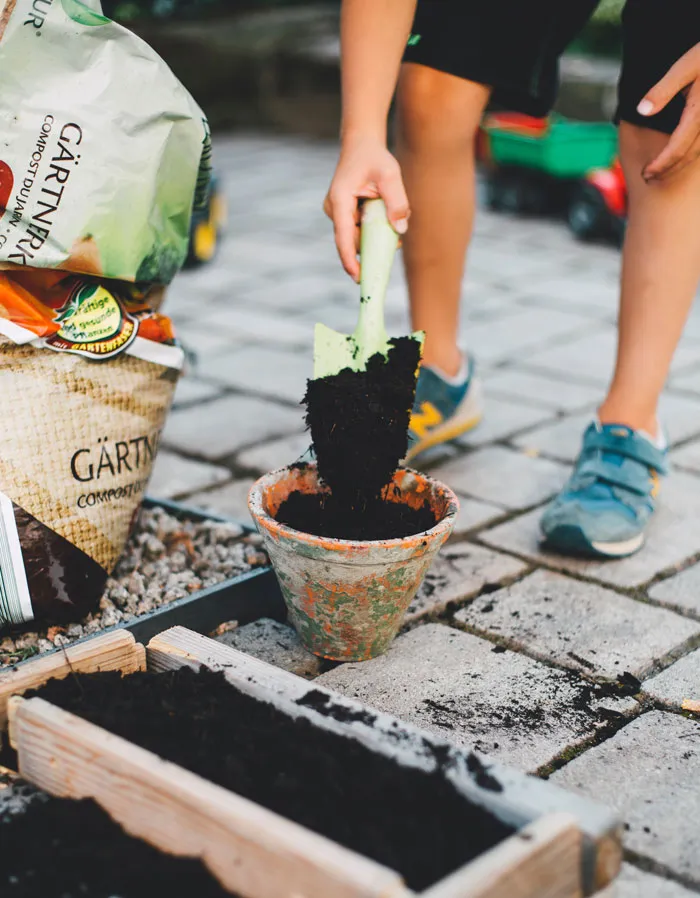 Start A Garden