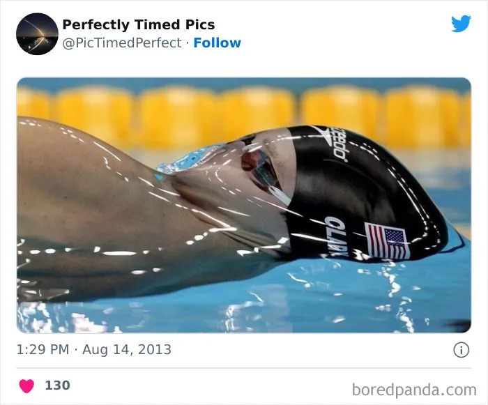 30 Fotos tomadas "en el momento justo” que hay que mirar 2 veces