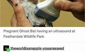 People Are Creating Memes About Nature And All Things Environment, Here Are 35 Of The Best Ones Shared On This Facebook Page