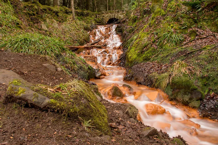 Blairadam Forest, Scotland